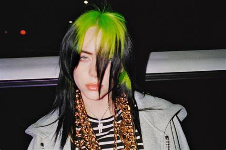 Billie Eilish Launches Initiative To Get Her Fans To Vote Celebrity