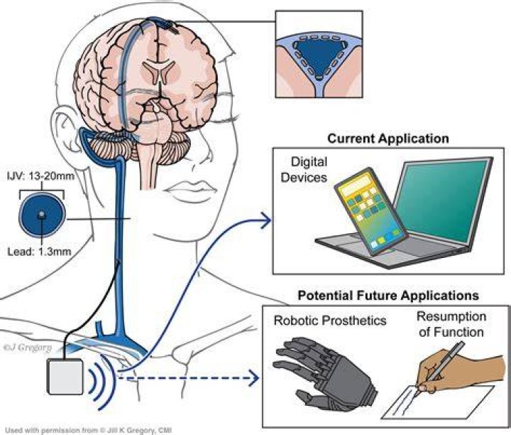 Discoveries And Insights In Brain-Computer Interfaces