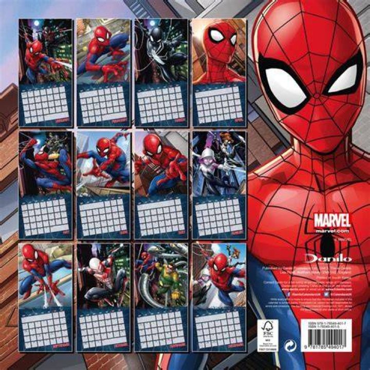 mm ammirare sognare spiderman 2024 lepre A monte trappola