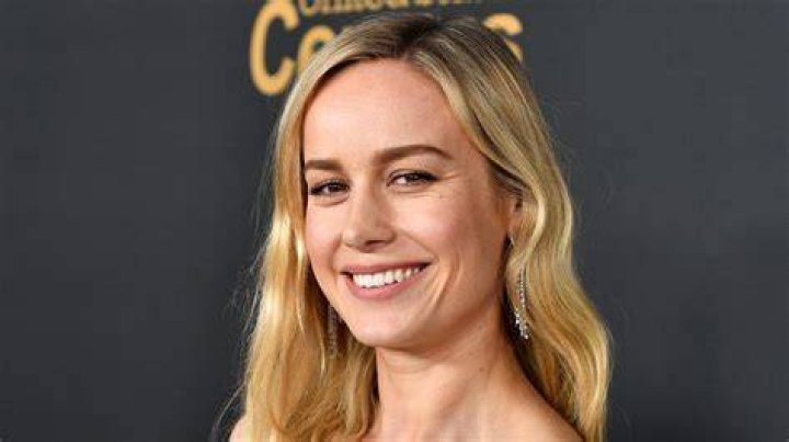 Roles Brie Larson Lost Before Captain Marvel