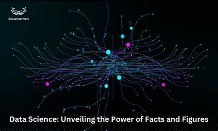 Unveiling The Secrets Of Data Science: Discoveries From Taylor Silverman