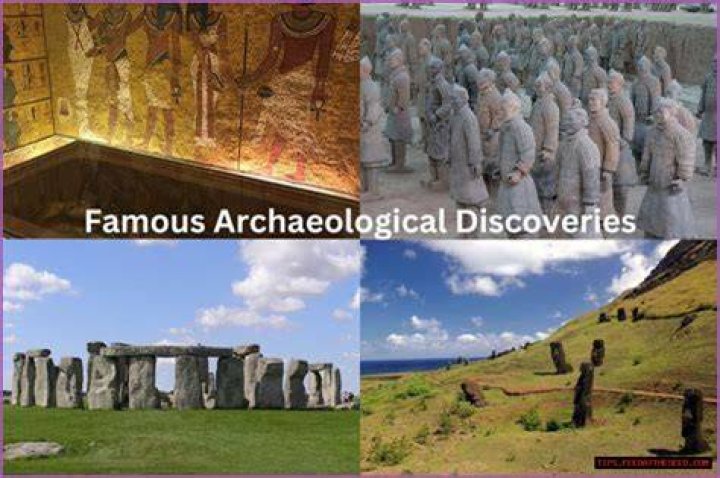 Unveiling The World Of Heather Mcmahan: Discoveries And Insights